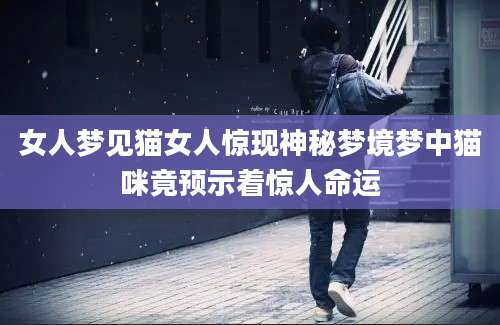 女人梦见猫女人惊现神秘梦境梦中猫咪竟预示着惊人命运