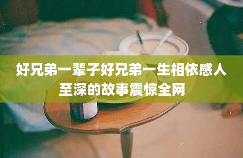 好兄弟一辈子好兄弟一生相依感人至深的故事震惊全网