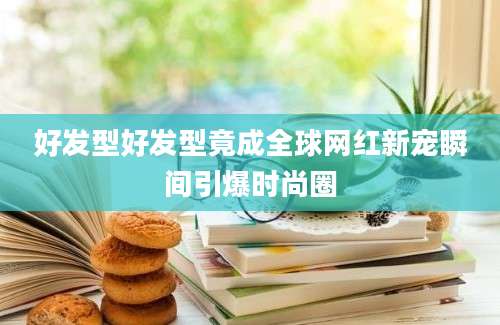 好发型好发型竟成全球网红新宠瞬间引爆时尚圈