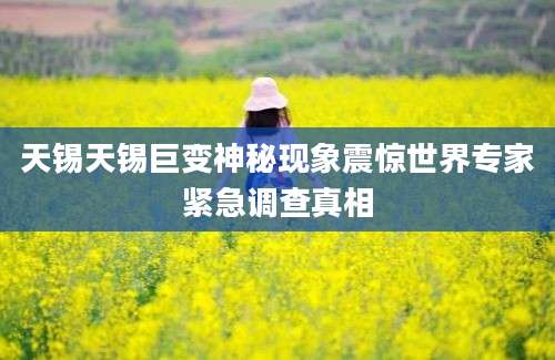 天锡天锡巨变神秘现象震惊世界专家紧急调查真相