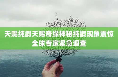 天赐纯嘏天赐奇缘神秘纯嘏现象震惊全球专家紧急调查