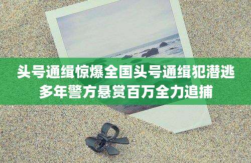 头号通缉惊爆全国头号通缉犯潜逃多年警方悬赏百万全力追捕