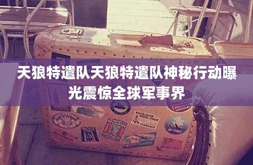 天狼特遣队天狼特遣队神秘行动曝光震惊全球军事界