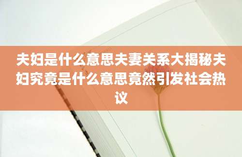 夫妇是什么意思夫妻关系大揭秘夫妇究竟是什么意思竟然引发社会热议