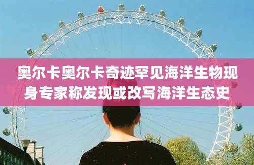 奥尔卡奥尔卡奇迹罕见海洋生物现身专家称发现或改写海洋生态史