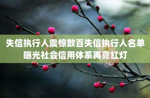 失信执行人震惊数百失信执行人名单曝光社会信用体系再亮红灯