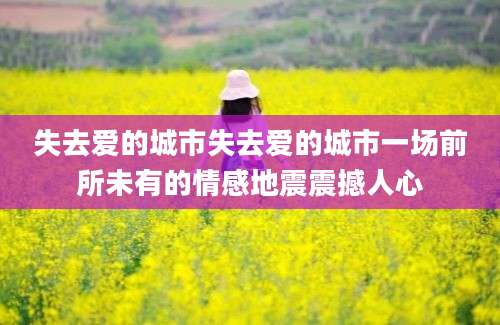 失去爱的城市失去爱的城市一场前所未有的情感地震震撼人心