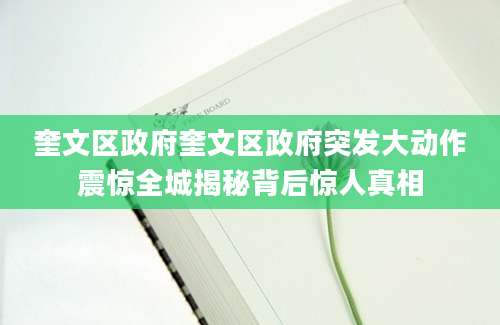 奎文区政府奎文区政府突发大动作震惊全城揭秘背后惊人真相