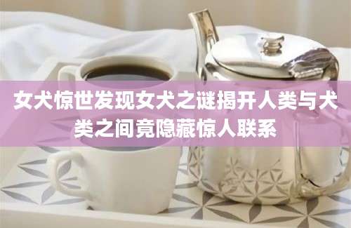 女犬惊世发现女犬之谜揭开人类与犬类之间竟隐藏惊人联系