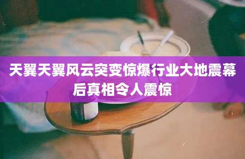 天翼天翼风云突变惊爆行业大地震幕后真相令人震惊