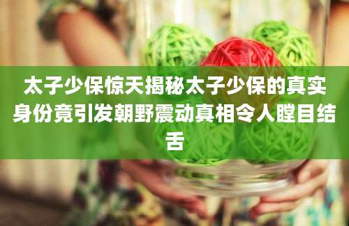 太子少保惊天揭秘太子少保的真实身份竟引发朝野震动真相令人瞠目结舌