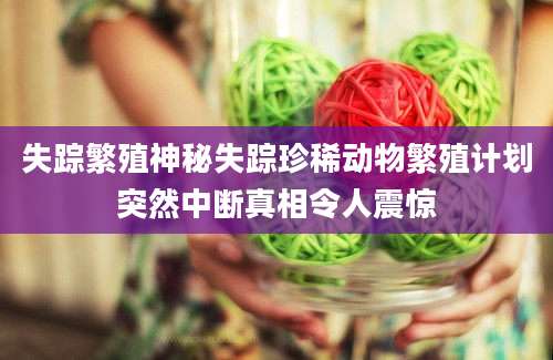 失踪繁殖神秘失踪珍稀动物繁殖计划突然中断真相令人震惊