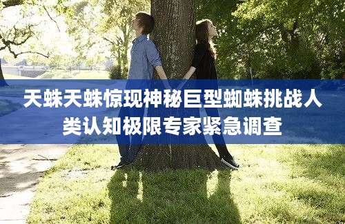 天蛛天蛛惊现神秘巨型蜘蛛挑战人类认知极限专家紧急调查