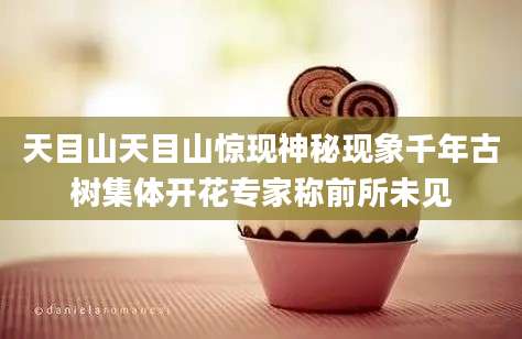 天目山天目山惊现神秘现象千年古树集体开花专家称前所未见
