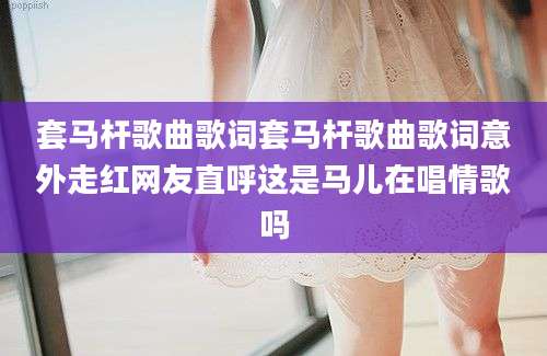 套马杆歌曲歌词套马杆歌曲歌词意外走红网友直呼这是马儿在唱情歌吗