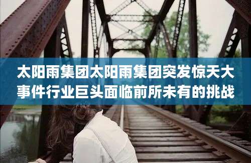 太阳雨集团太阳雨集团突发惊天大事件行业巨头面临前所未有的挑战