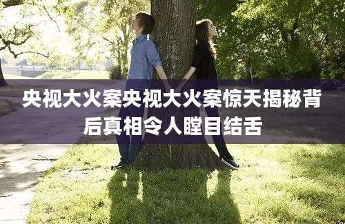 央视大火案央视大火案惊天揭秘背后真相令人瞠目结舌