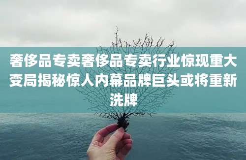奢侈品专卖奢侈品专卖行业惊现重大变局揭秘惊人内幕品牌巨头或将重新洗牌