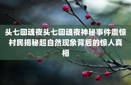头七回魂夜头七回魂夜神秘事件震惊村民揭秘超自然现象背后的惊人真相