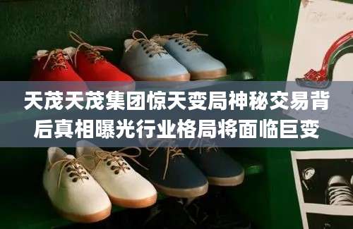 天茂天茂集团惊天变局神秘交易背后真相曝光行业格局将面临巨变