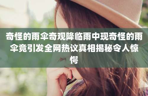 奇怪的雨伞奇观降临雨中现奇怪的雨伞竟引发全网热议真相揭秘令人惊愕