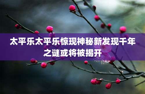 太平乐太平乐惊现神秘新发现千年之谜或将被揭开