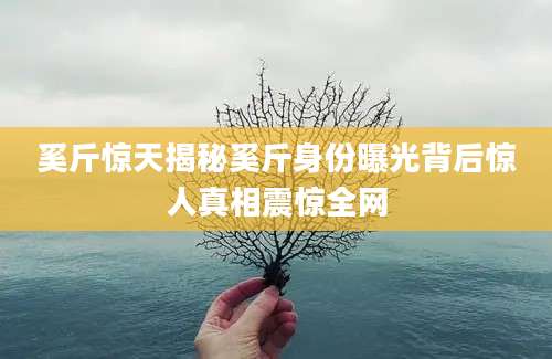 奚斤惊天揭秘奚斤身份曝光背后惊人真相震惊全网