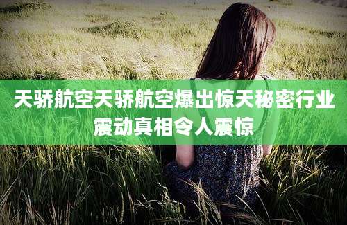 天骄航空天骄航空爆出惊天秘密行业震动真相令人震惊