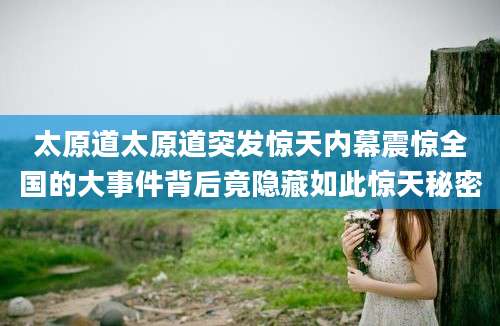 太原道太原道突发惊天内幕震惊全国的大事件背后竟隐藏如此惊天秘密