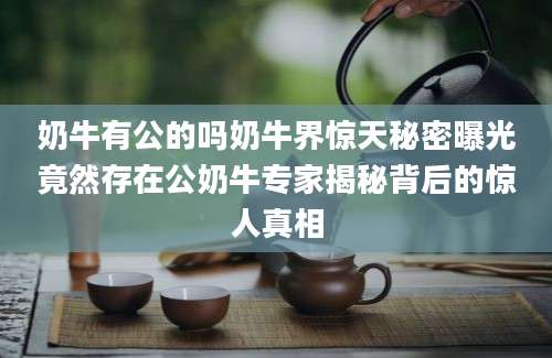 奶牛有公的吗奶牛界惊天秘密曝光竟然存在公奶牛专家揭秘背后的惊人真相