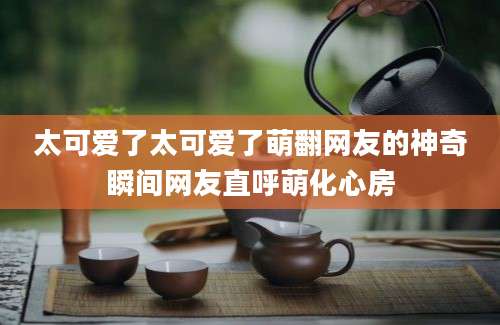 太可爱了太可爱了萌翻网友的神奇瞬间网友直呼萌化心房