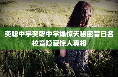 奕聪中学奕聪中学爆惊天秘密昔日名校竟隐藏惊人真相