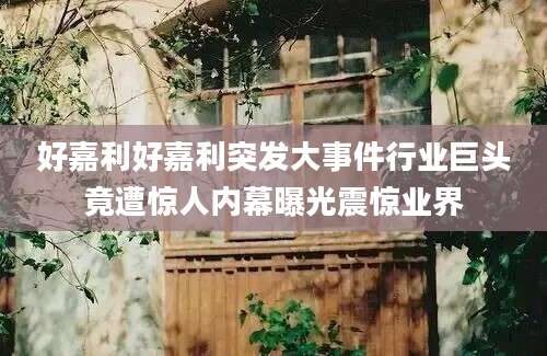 好嘉利好嘉利突发大事件行业巨头竟遭惊人内幕曝光震惊业界