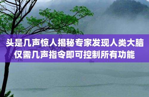 头是几声惊人揭秘专家发现人类大脑仅需几声指令即可控制所有功能