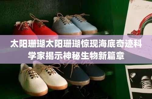 太阳珊瑚太阳珊瑚惊现海底奇迹科学家揭示神秘生物新篇章