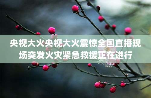 央视大火央视大火震惊全国直播现场突发火灾紧急救援正在进行