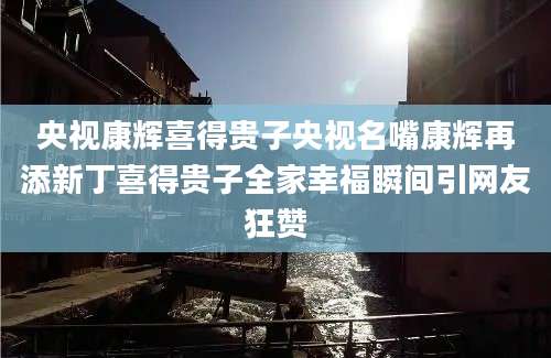 央视康辉喜得贵子央视名嘴康辉再添新丁喜得贵子全家幸福瞬间引网友狂赞