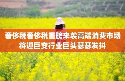 奢侈税奢侈税重磅来袭高端消费市场将迎巨变行业巨头瑟瑟发抖