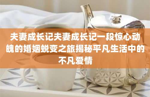 夫妻成长记夫妻成长记一段惊心动魄的婚姻蜕变之旅揭秘平凡生活中的不凡爱情