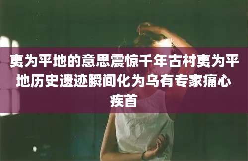 夷为平地的意思震惊千年古村夷为平地历史遗迹瞬间化为乌有专家痛心疾首