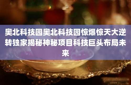 奥北科技园奥北科技园惊爆惊天大逆转独家揭秘神秘项目科技巨头布局未来