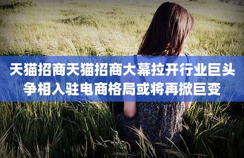 天猫招商天猫招商大幕拉开行业巨头争相入驻电商格局或将再掀巨变