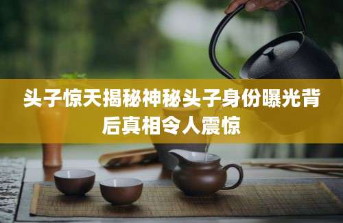 头子惊天揭秘神秘头子身份曝光背后真相令人震惊