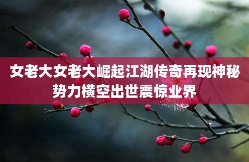 女老大女老大崛起江湖传奇再现神秘势力横空出世震惊业界