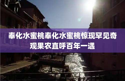 奉化水蜜桃奉化水蜜桃惊现罕见奇观果农直呼百年一遇