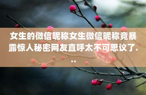 女生的微信昵称女生微信昵称竟暴露惊人秘密网友直呼太不可思议了...