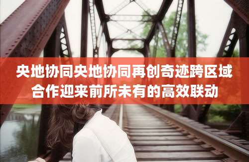 央地协同央地协同再创奇迹跨区域合作迎来前所未有的高效联动