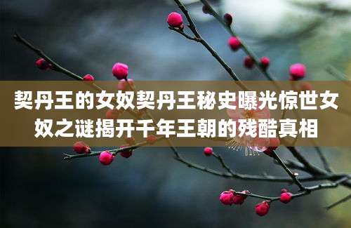 契丹王的女奴契丹王秘史曝光惊世女奴之谜揭开千年王朝的残酷真相