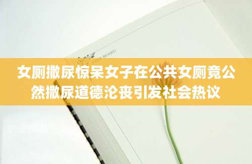 女厕撒尿惊呆女子在公共女厕竟公然撒尿道德沦丧引发社会热议