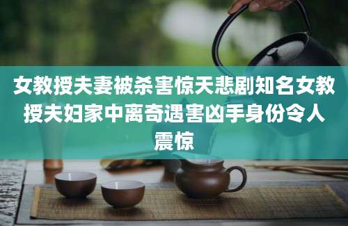 女教授夫妻被杀害惊天悲剧知名女教授夫妇家中离奇遇害凶手身份令人震惊